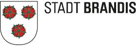 logo brandis